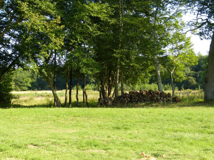 Others 2, Chateau de Souesmes, Loir-et-Cher
