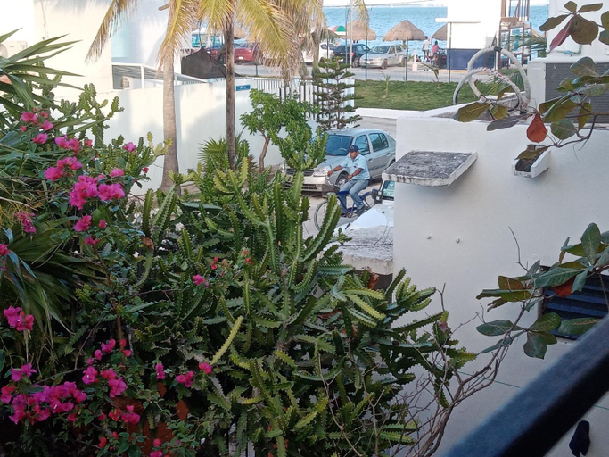 Others 5, Caribbean Paradise, Isla Mujeres