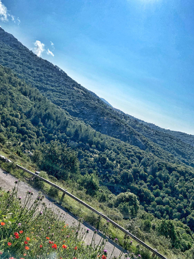 Others 1, U PASTURELLU, Haute-Corse