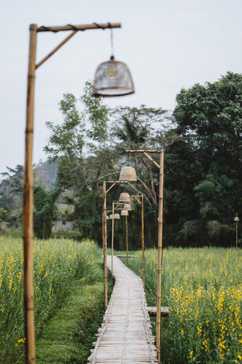 Others 5, Sangkaew Phuthara, Muang Chiang Rai