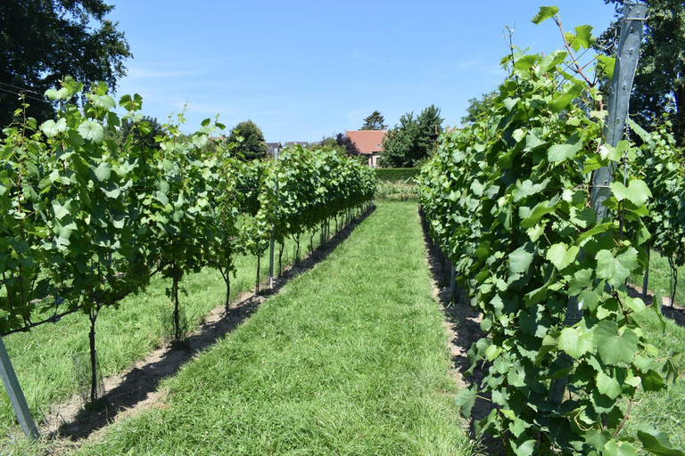 Others 4, B&B Gellick, Limburg