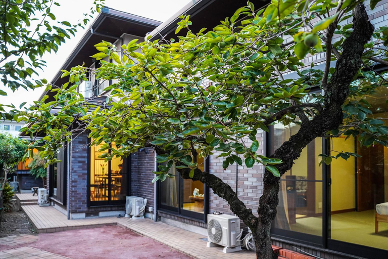 Exterior 8