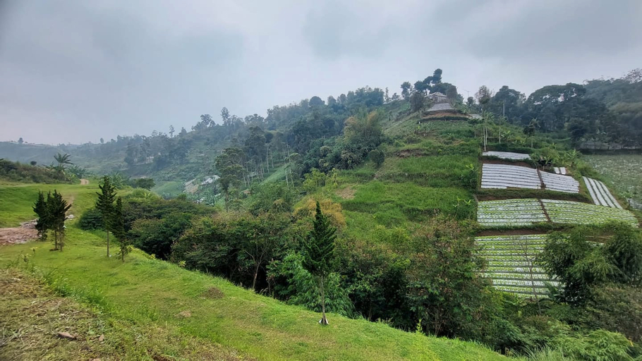 Scenery 7