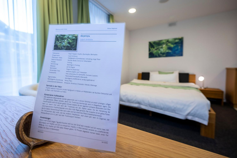 Bedroom 3, Hotel Ochsen Rapperswil/BE, Aarberg