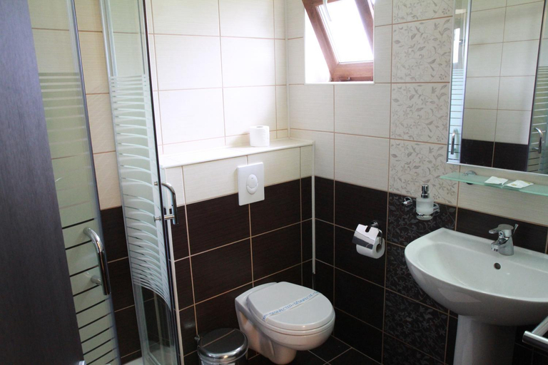 Bathroom 4, Pensiunea Andreea, Baia De Fier