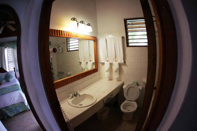 Bathroom 4, Negril Tree House