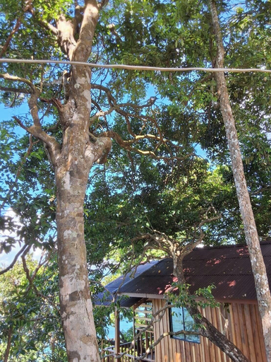 Exterior & Views 2, Velora Bay Koh Jum, Nua Khlong