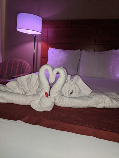 Bedroom 7