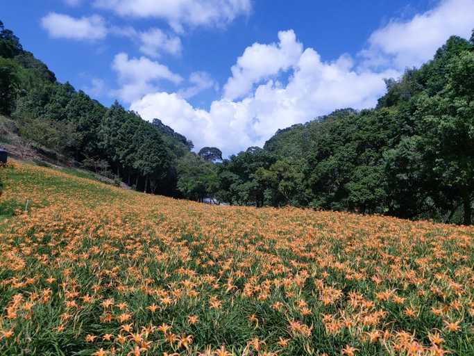 Others 3, 赤科山櫻之谷咖啡民宿, Hualien