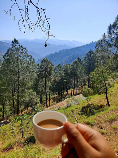 Food & Drinks 4, Jaseelo Camps near Tehri Lake, Tehri Garhwal