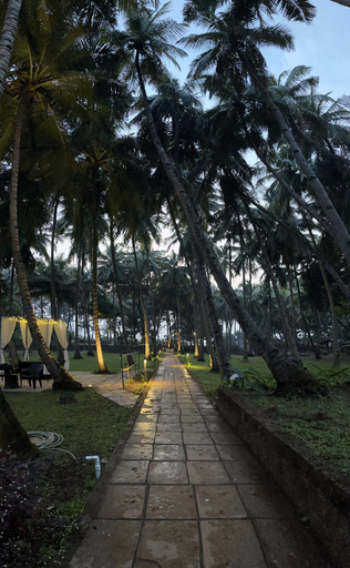 Others 3, O NEST Oceano Pearl, Ratnagiri