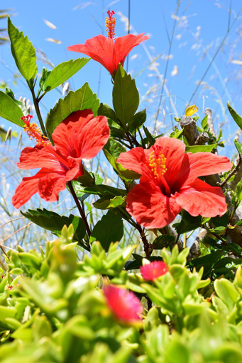 Others 5, Casa la Naranja Boutique B&B, Alicante