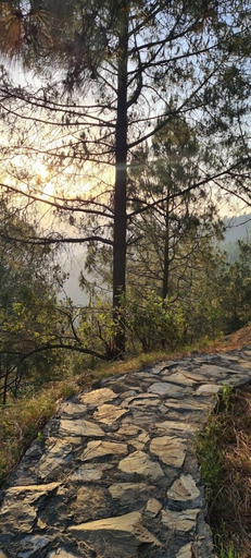 Others 5, Jaseelo Camps near Tehri Lake, Tehri Garhwal