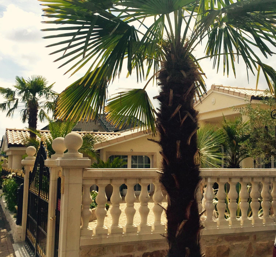 Scenery 10