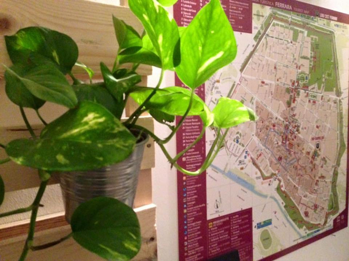 Public Area