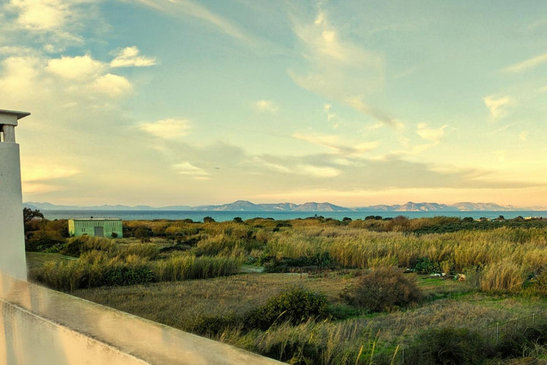 Others 3, The Masseria, South Aegean