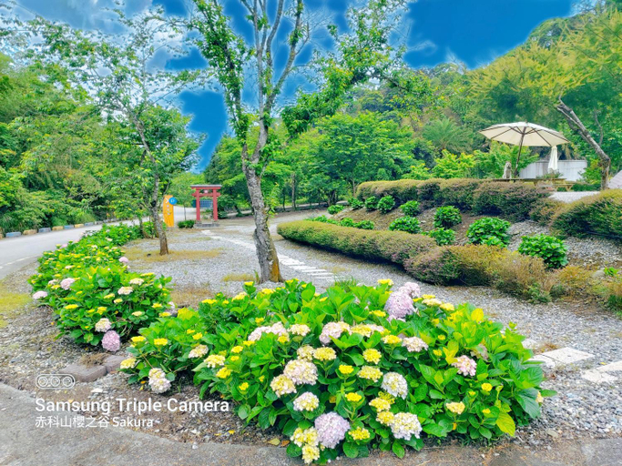 Others 5, 赤科山櫻之谷咖啡民宿, Hualien