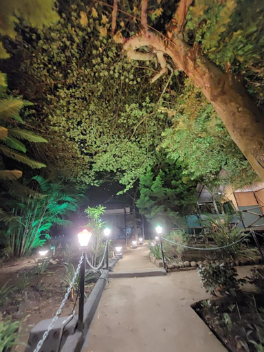 Others 5, Green hills farm and guest house, The Nilgiris