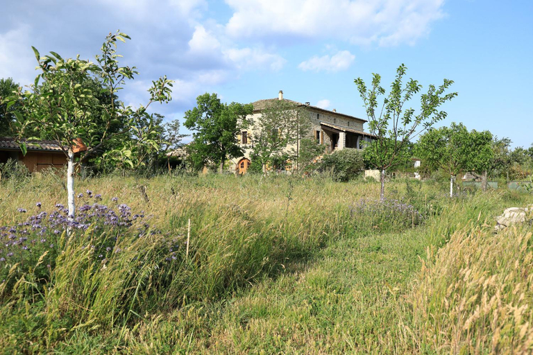 Others 5, La Gourmandine, Gard