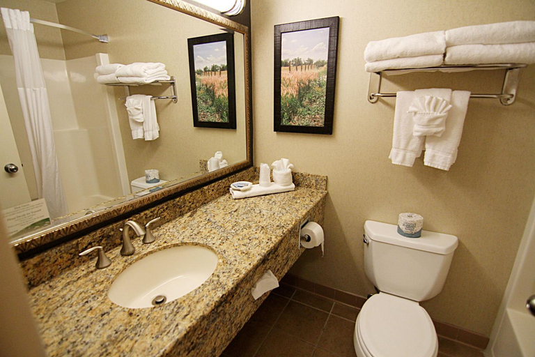 Bathroom 3, C'mon Inn Grand Forks, Grand Forks
