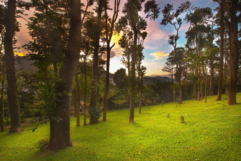 Scenery