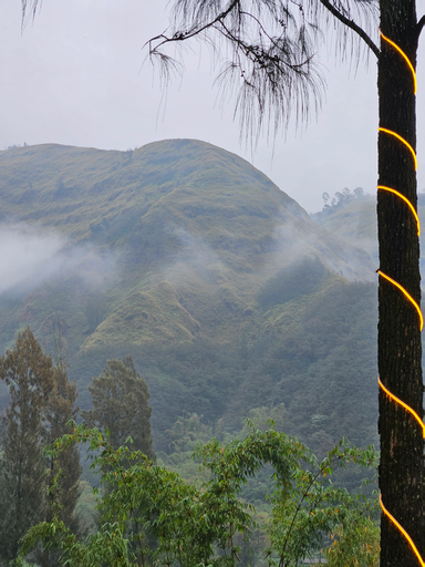 Scenery 3