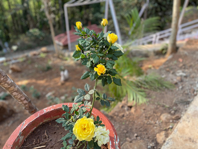 Others 5, nature's cradle resort, Salem