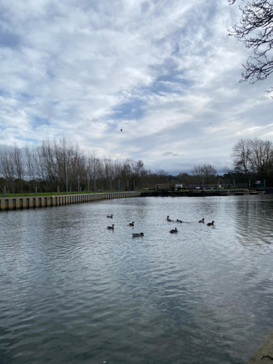 Sport & Beauty, Pershore Rooms at The Star Inn, Worcestershire
