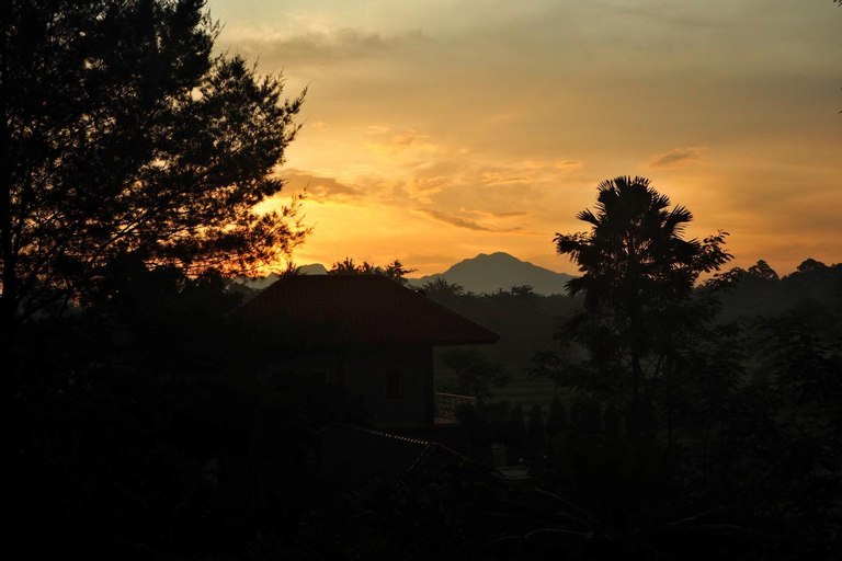 Scenery 15