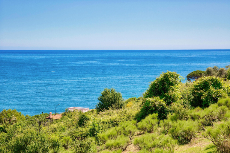Others 5, Le Orchidee 14 by Wonderful Italy, Imperia