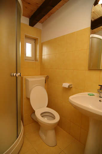 Bathroom 2, Pensiunea Cehov, Bran