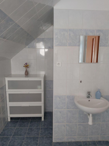 Bathroom, Pivni lednice, Hradec Králové