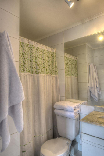 Bathroom 5, Pucon, Cautín