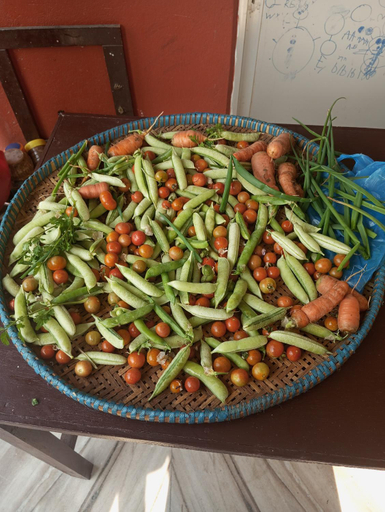 Food & Drinks 4, Gautam Garden Guest House, Gandaki
