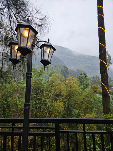 Scenery 11