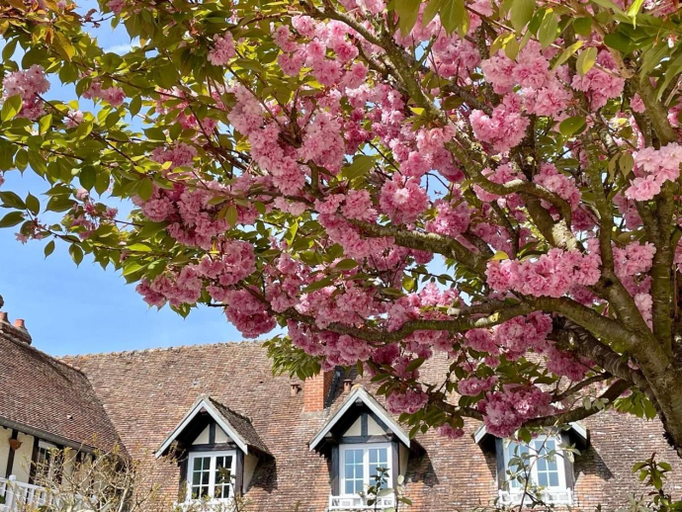 Others 4, Domaine de l’Orangerie - La Suite Clementine, Seine-et-Marne
