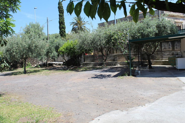 Others 5, Cottage in the green, Catania