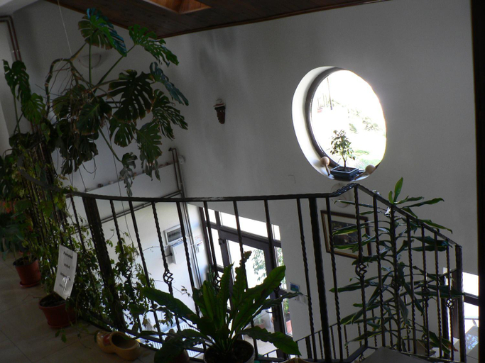 Public Area 2, Casa Havana, Costinesti