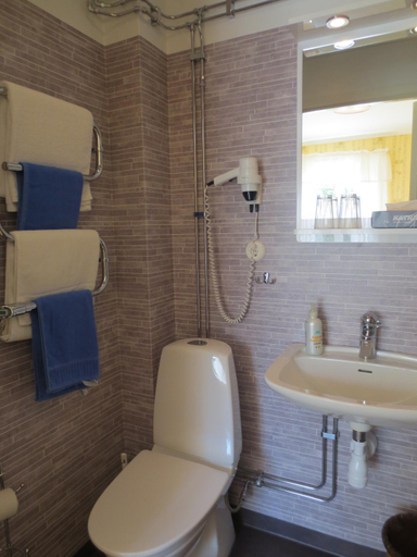 Bathroom 4, Jarvsobaden, Ljusdal