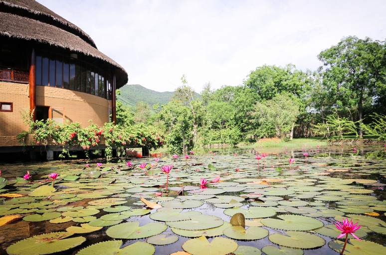 Sport & Beauty 3, Alba Wellness Resort By Fusion, Phong Điền