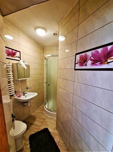 Bathroom 2, "Harnas" Zab-Bustryk, Tatra