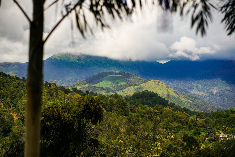 Others 5, Munnar Blue Mist, Idukki