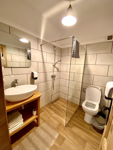 Bathroom 3, Casa Lazaroiu, Corbeni