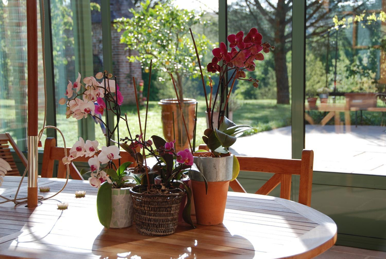 Others 2, Le Manoir Saint Clair, Haute-Garonne