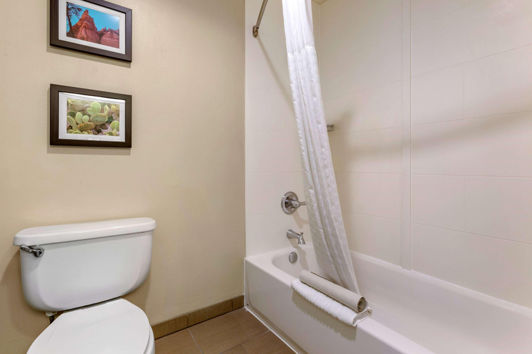 Bathroom 4, Wingate By Wyndham Los Alamos, Los Alamos