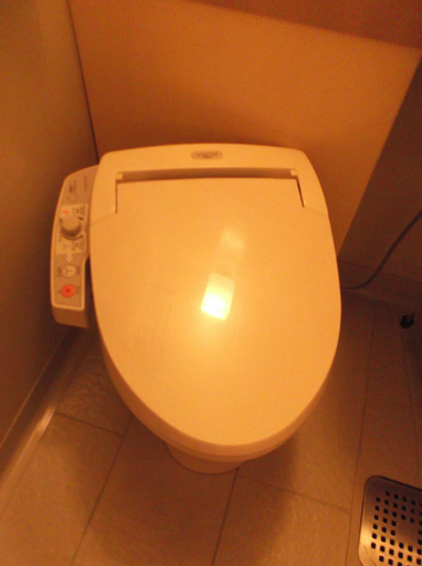 Bathroom, Higashi Hiroshima Sunrise 21 Hotel, Higashihiroshima