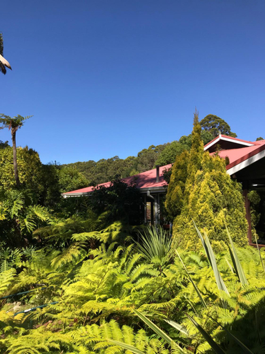 Scenery 17