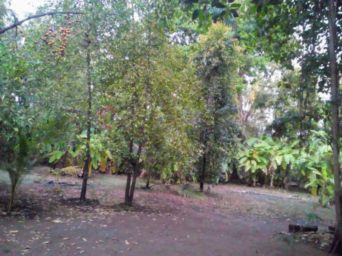 Others 4, Apulki Beach Resort, Ratnagiri
