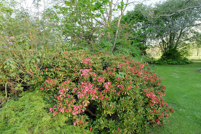 Others 5, Waikonini Homestead, Timaru