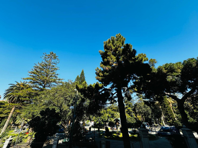 Scenery 4